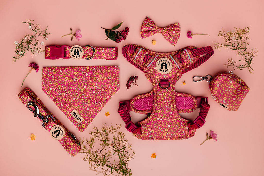 Fab 5 – Luxury Dog Walk Set (£75 Cyber Week Special) Harness, Collar, Lead + Two Accessories