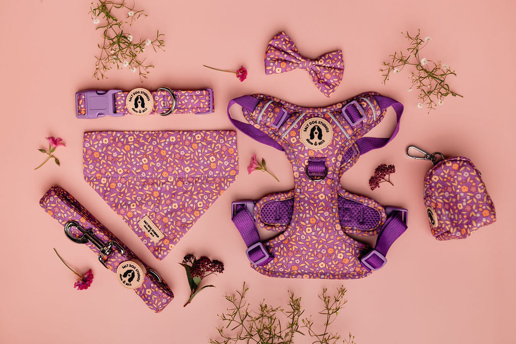 Fab 5 – Luxury Dog Walk Set (£75 Cyber Week Special) Harness, Collar, Lead + Two Accessories