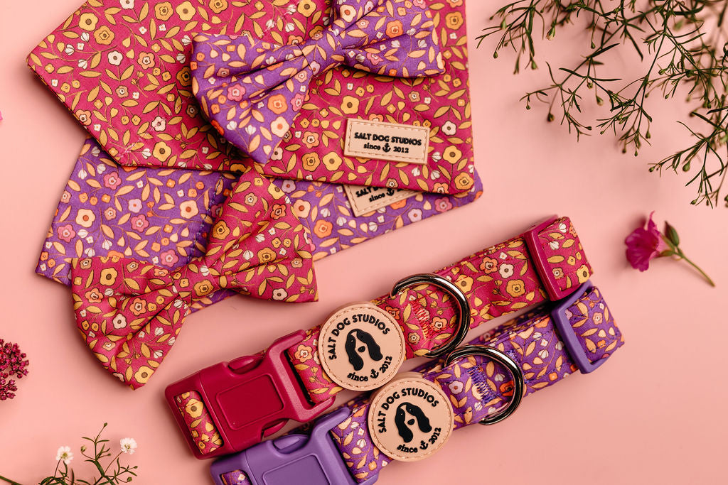 Colorful dog collars and accessories with floral patterns on a pink background by Salt Dog Studios