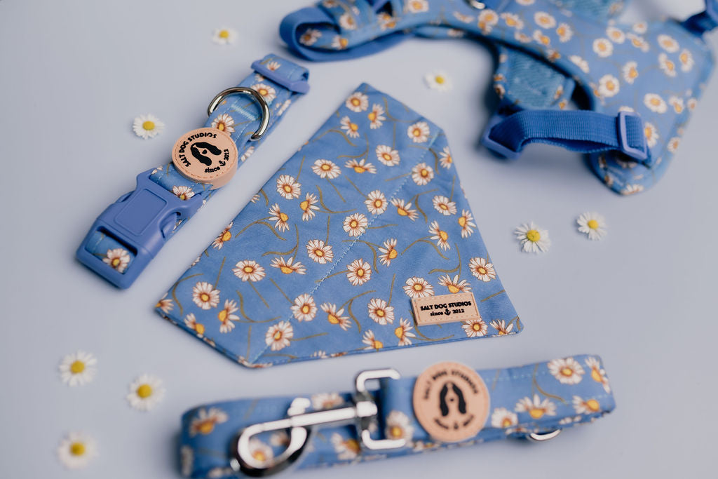 Daisy Daisy Dog Collar ©
