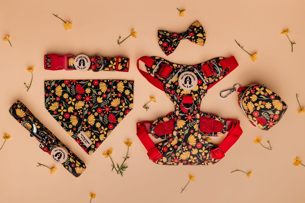 Fab 5 – Luxury Dog Walk Set (£75 Cyber Week Special) Harness, Collar, Lead + Two Accessories