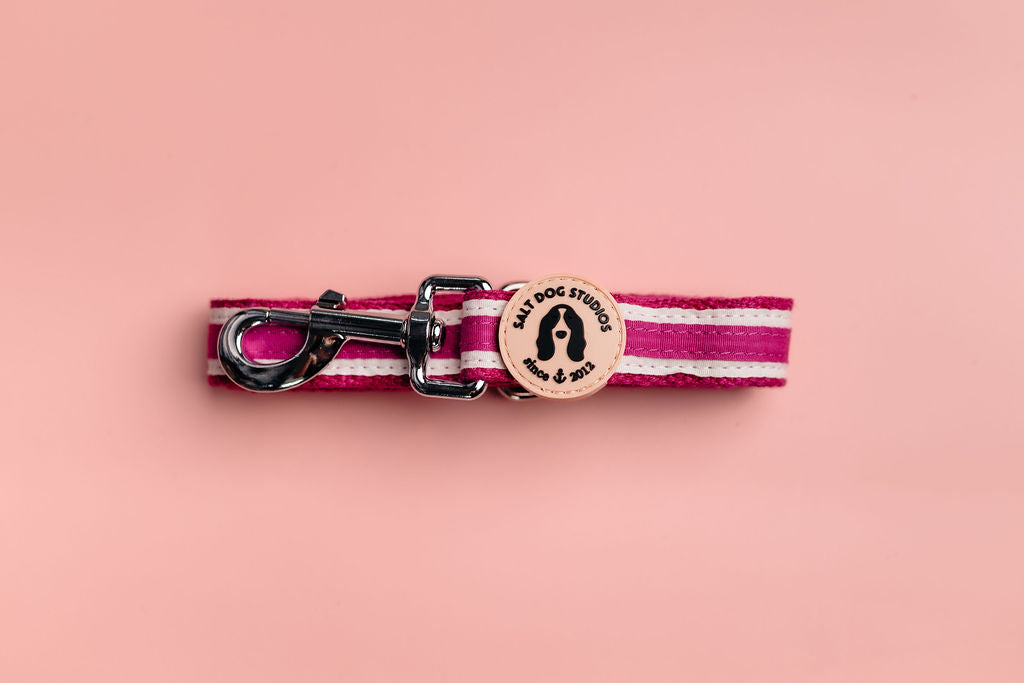Organic striped magenta pink hemp dog lead with cotton ribbon detail and metal clip – eco-friendly and hypoallergenic design by Salt Dog Studios.
