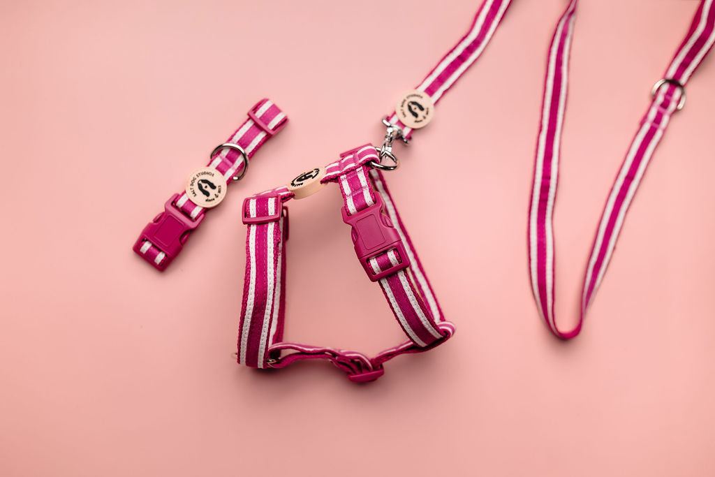 Organic striped magenta pink hemp dog lead with cotton ribbon detail and metal clip – eco-friendly and hypoallergenic design by Salt Dog Studios, with matching accessories