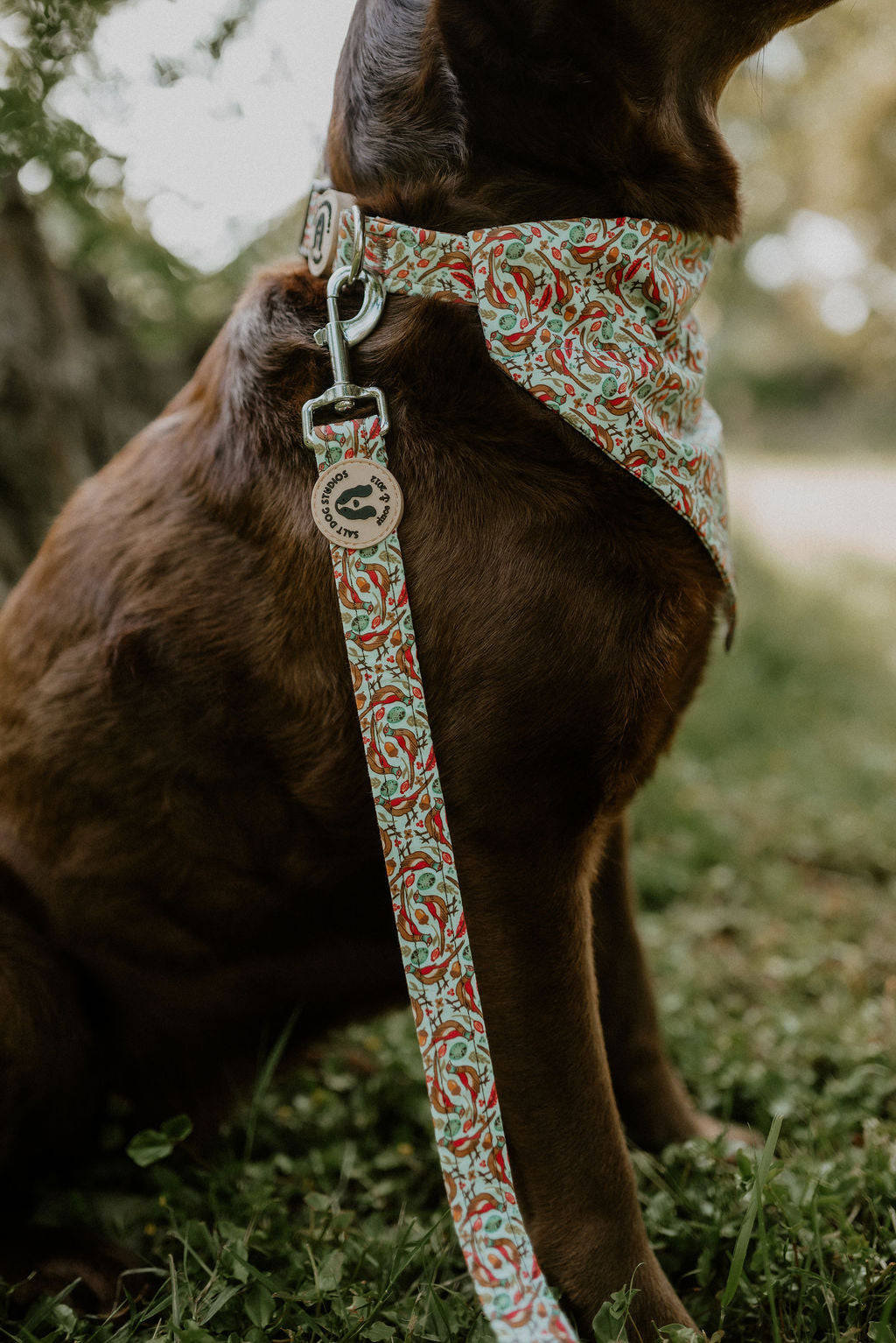 The Complete Walk Set – Fabric Collar, Lead & Matching Bandana