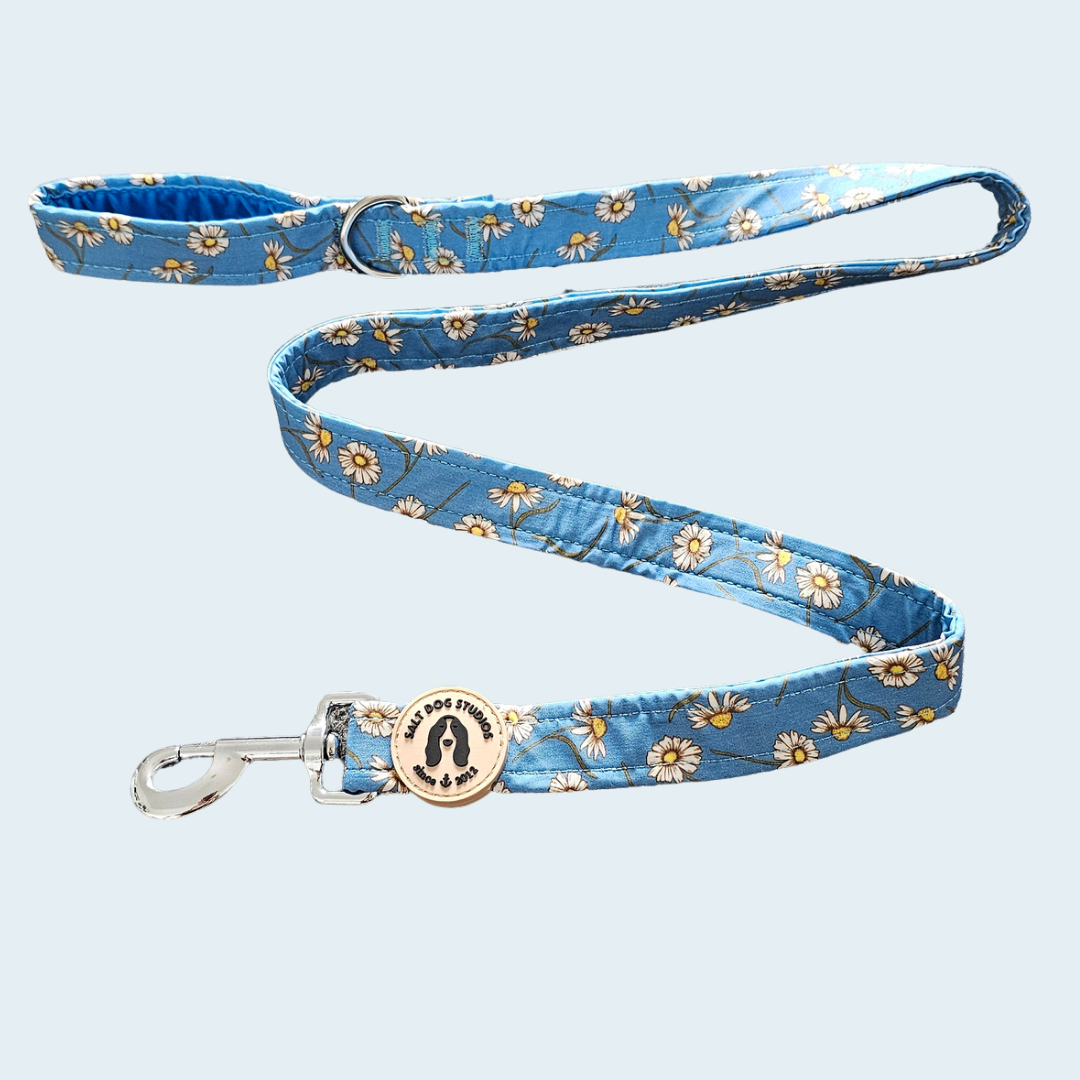 Daisy Daisy dog lead with white daisies on blue and metal clip