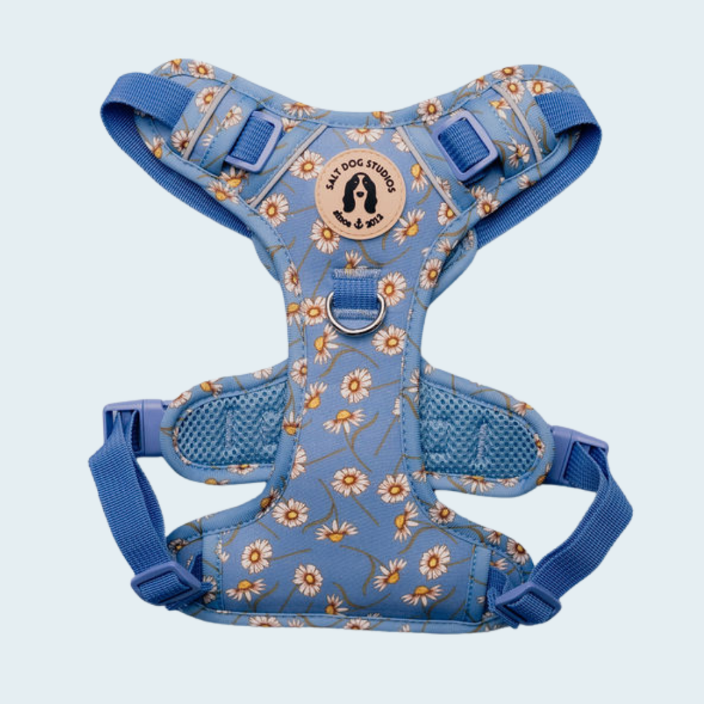Daisy Daisy Complete Collection — Five-Piece Walking Set