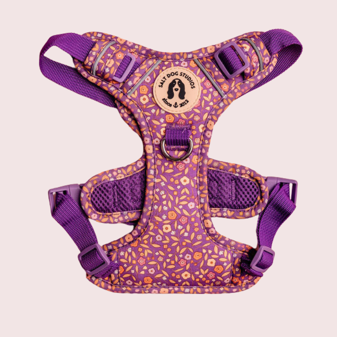 Ditsy Floral Purple Ultra Comfort Dog Harness