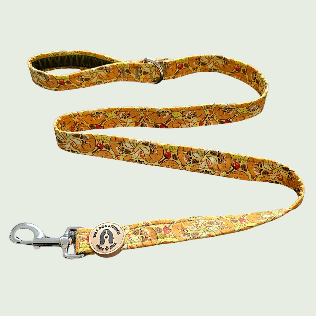 Fantastic Fox dog lead with orange fox and fern print and metal clip