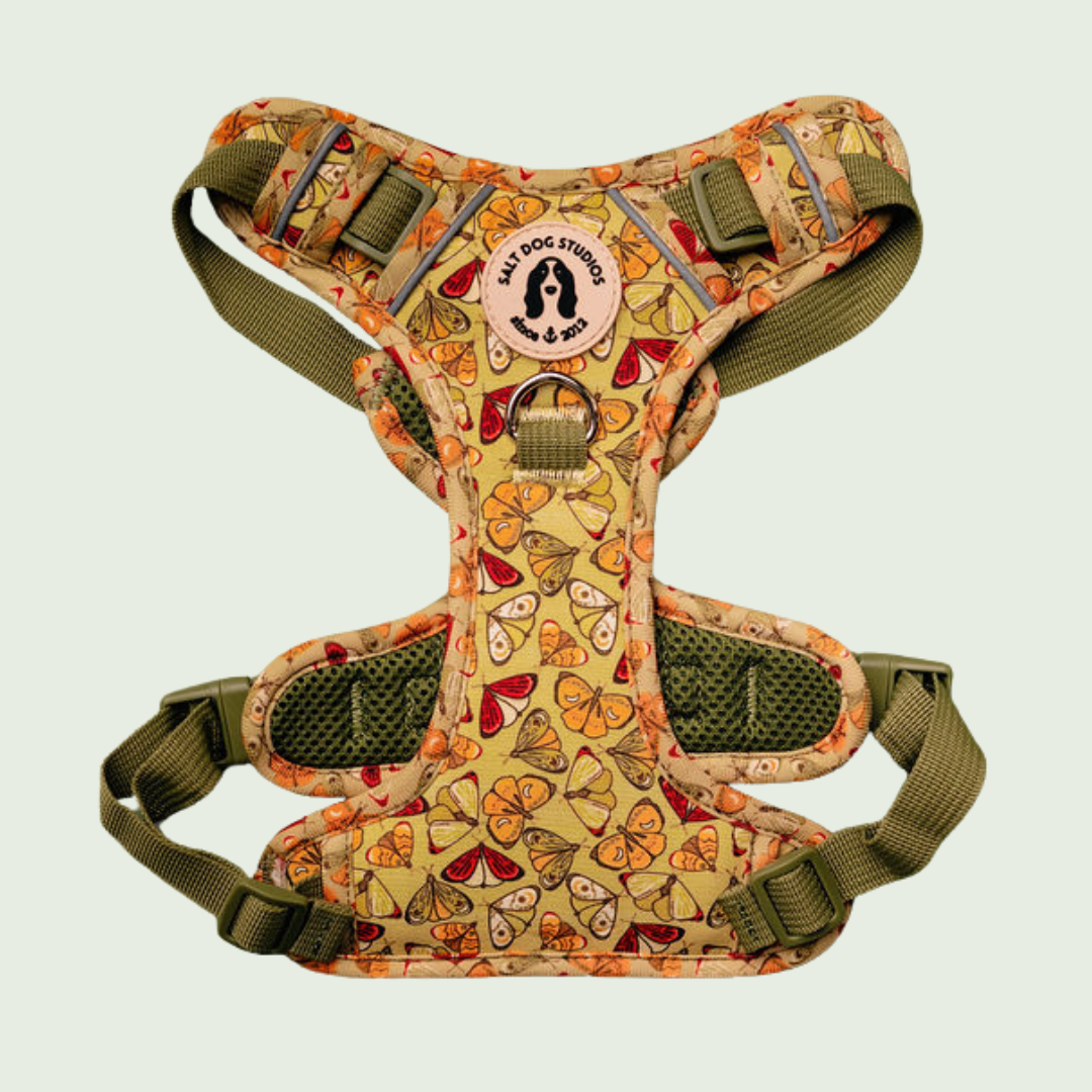 Flutterby Butterfly dog harness with colourful butterflies on yellow and adjustable straps