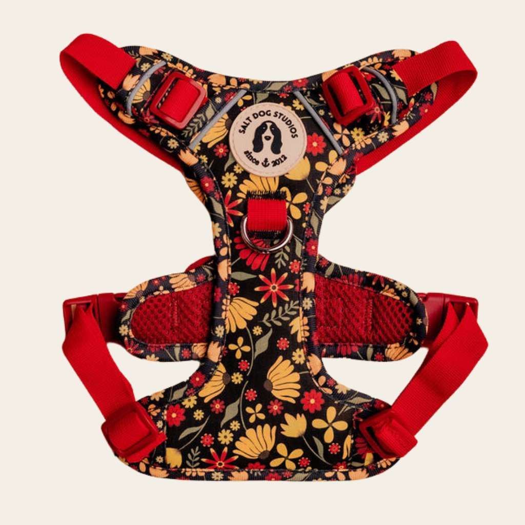 Folksy Flowers dog harness with colourful flowers on black and adjustable straps