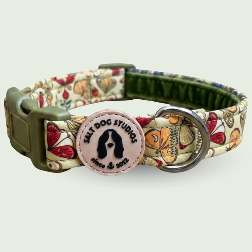Flutterby Butterfly dog collar with colourful butterflies on yellow and metal D-ring