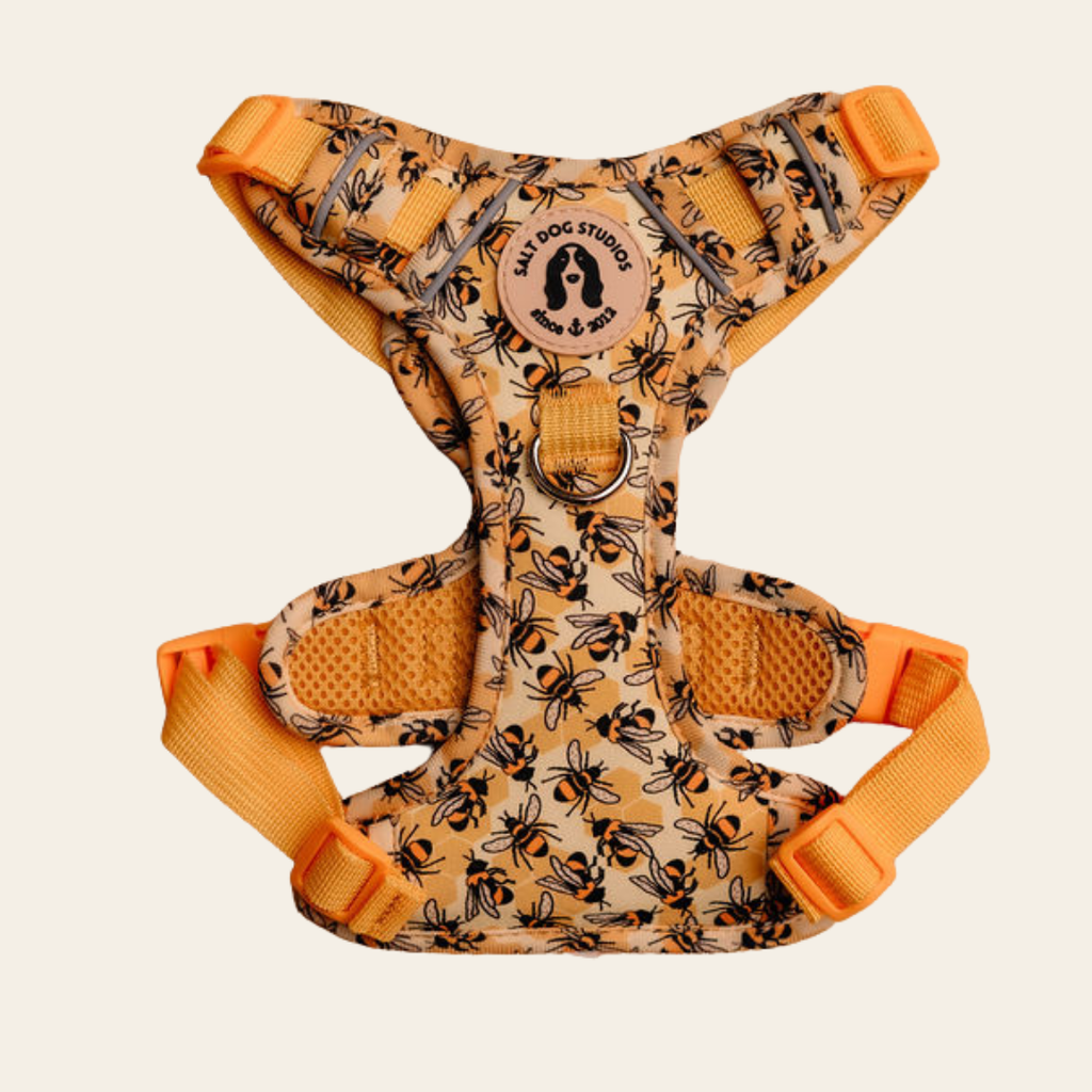 Honey Bee Hive dog harness with black bees on yellow and adjustable straps