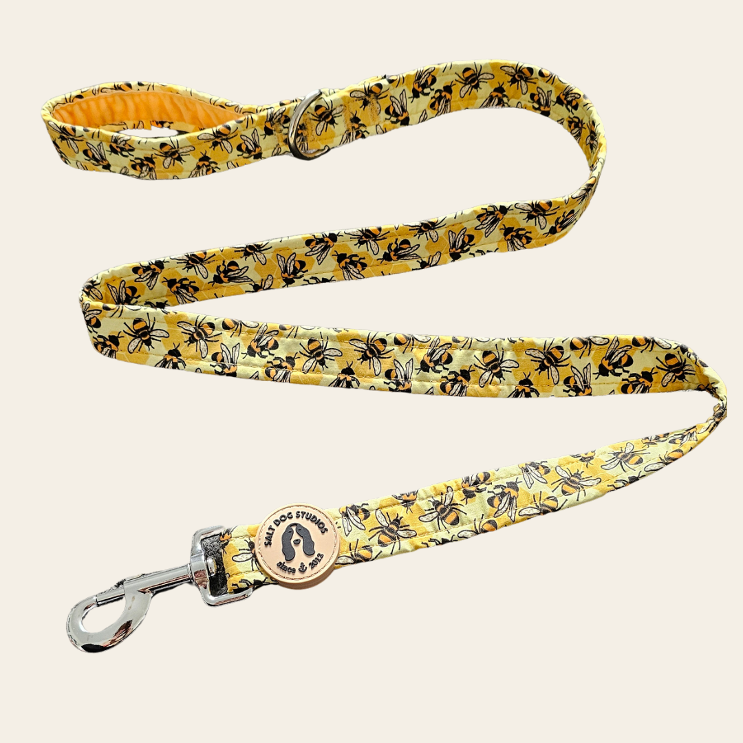 Honey Bee Hive Walking Set — Collar, Lead & Harness