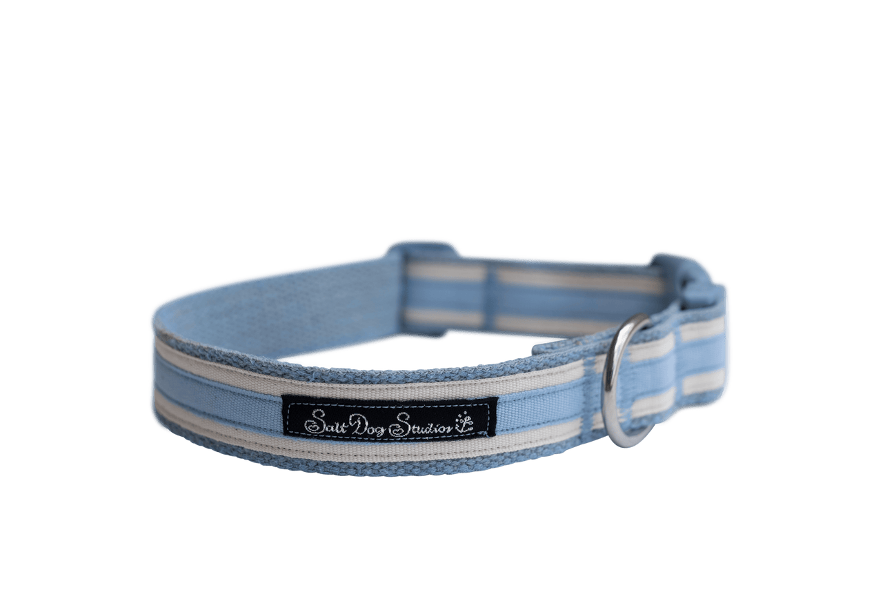 Unique 2024 dog collars
