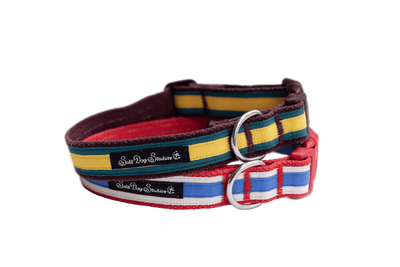 Matching belt sales and dog collar