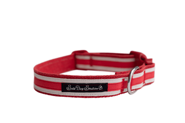 Country Tulip Hemp Luxury Dog Collar