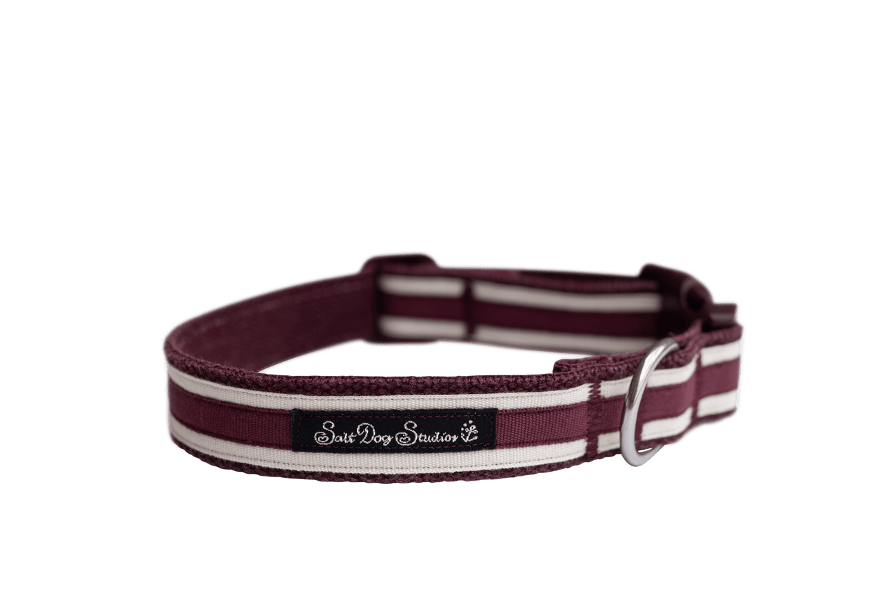 Fancy dog top collars with bows