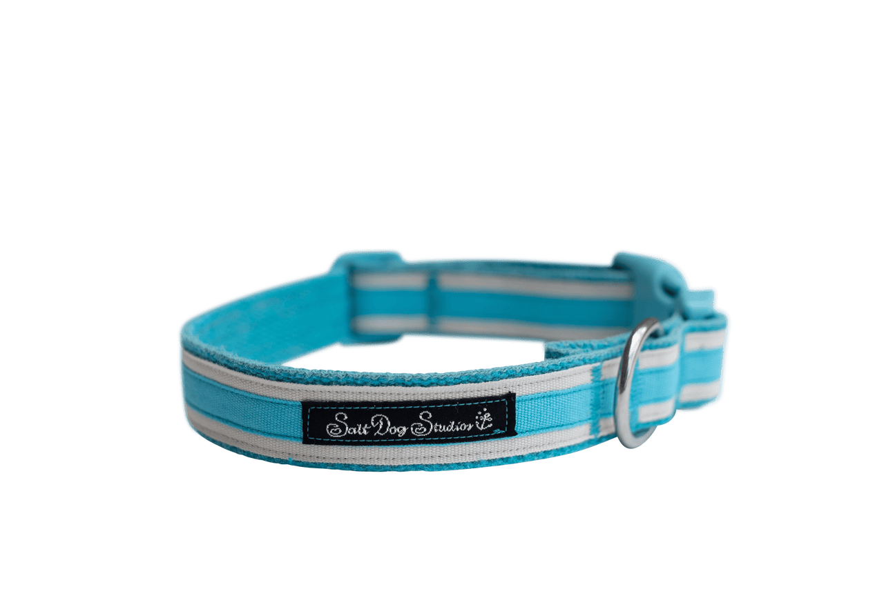 Coastal Turquoise Hemp Luxury Dog Collar