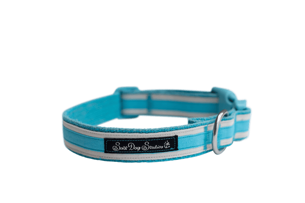 Coastal Turquoise Hemp Luxury Dog Collar