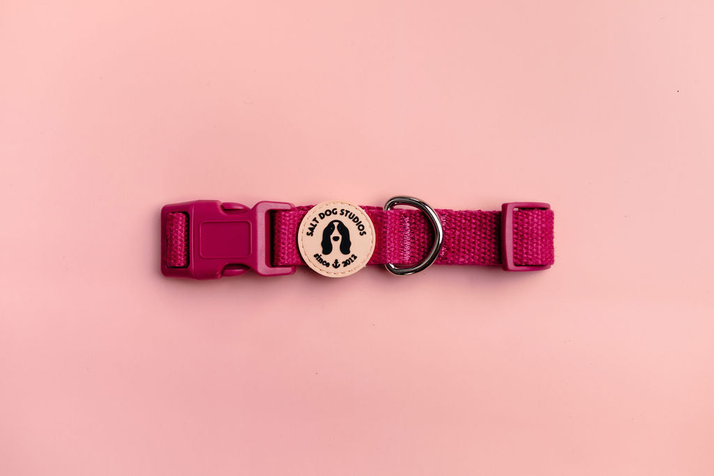 Magenta ink hemp dog collar