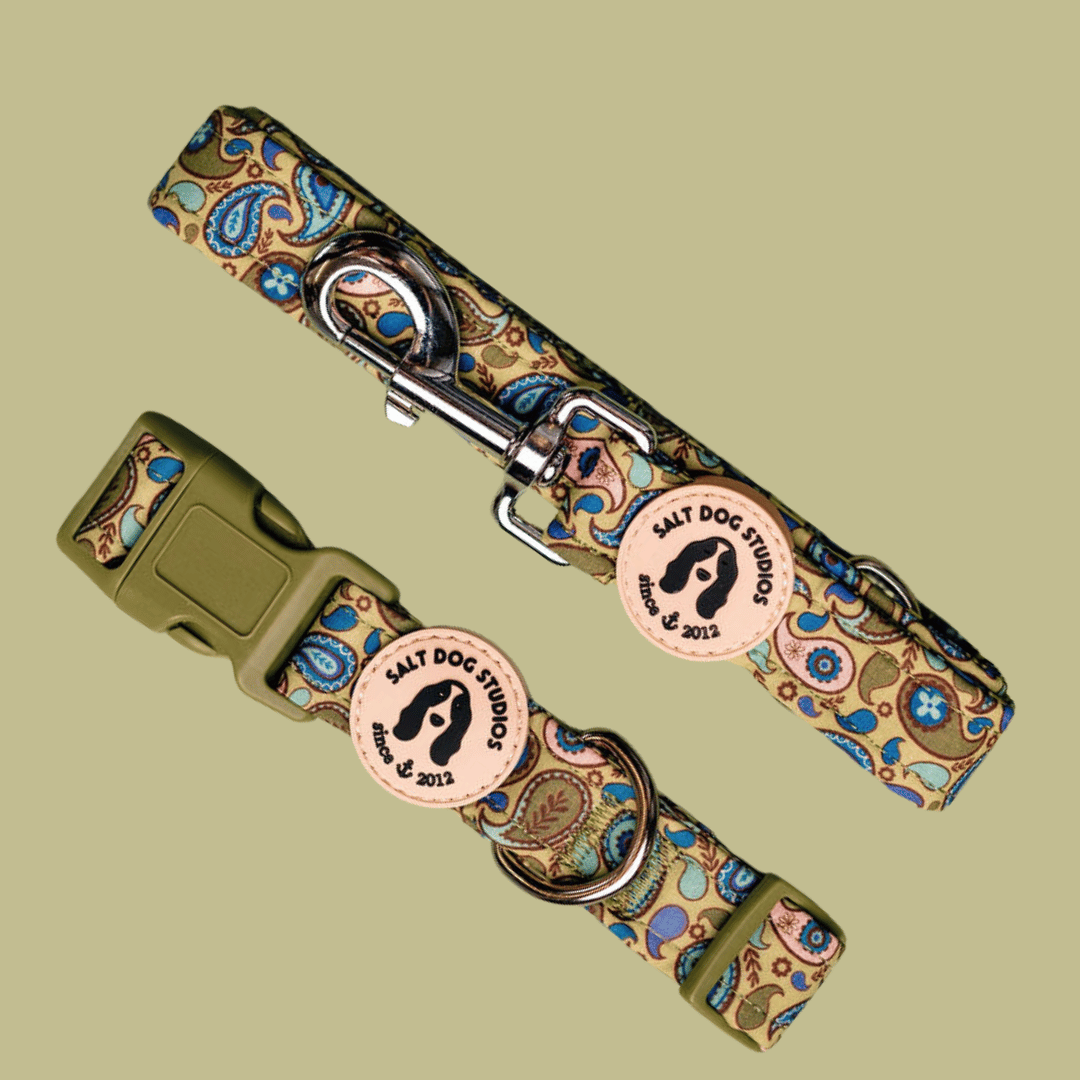 The Everyday Walk Set - Choose Matching Fabric Dog Collar & Lead