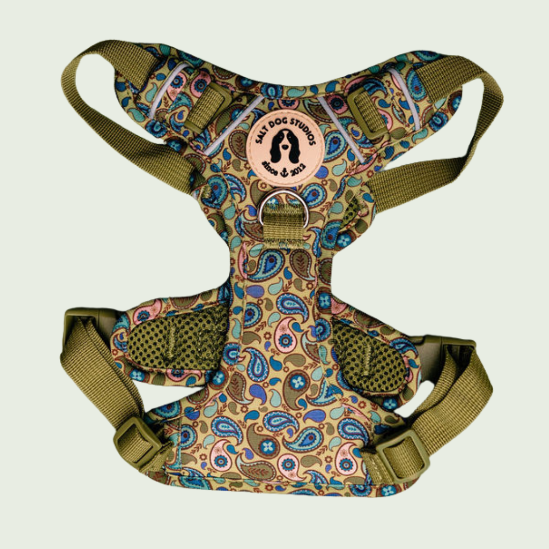 Paisley dog harness with blue, green and yellow paisley print and adjustable straps