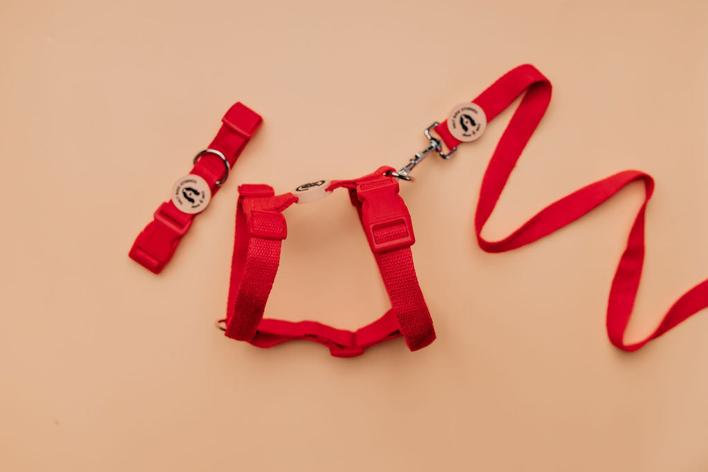 Scarlet Red Hemp Collar with accessories