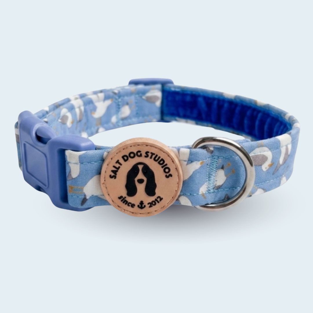 Seagulls Everyday Pair – Collar & Lead