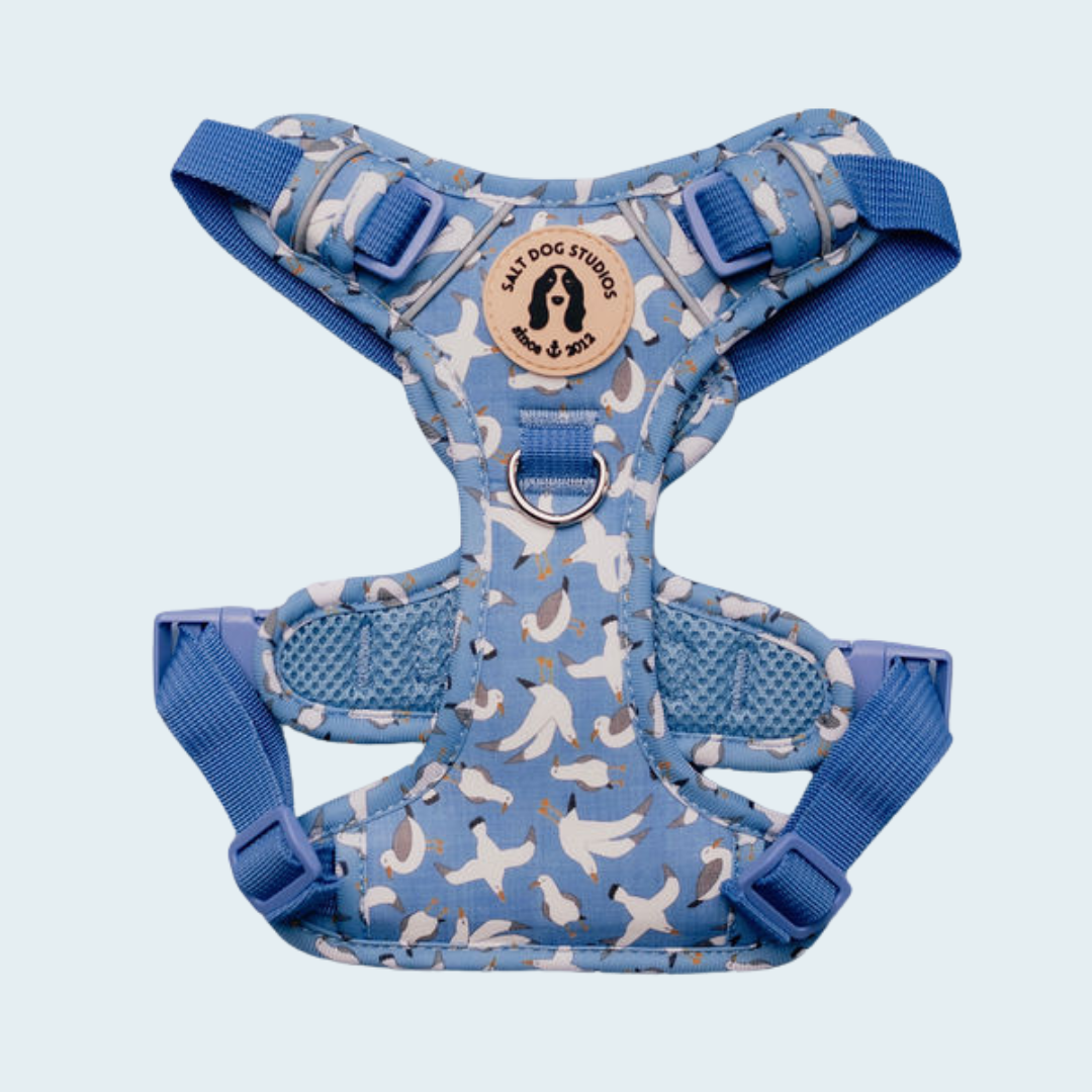 Seagulls dog harness with white seagulls on pale blue and adjustable straps