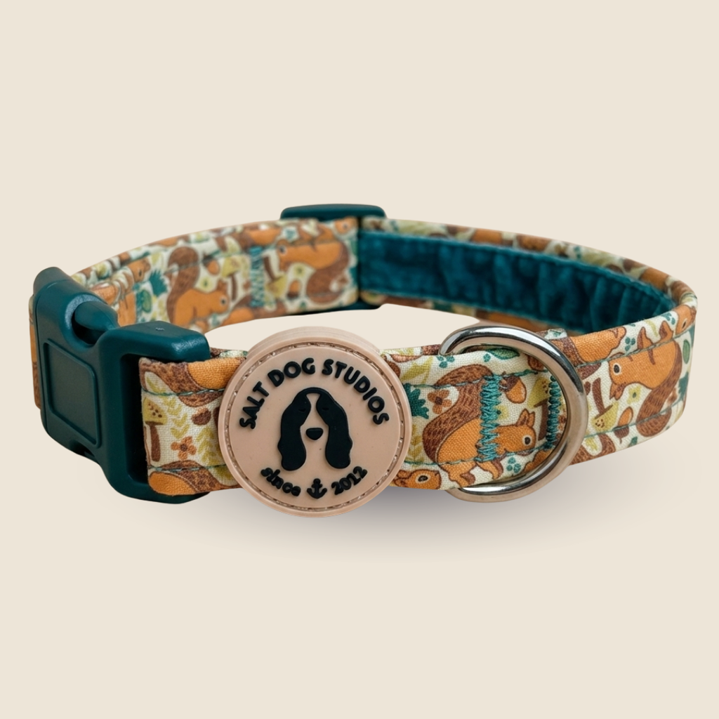 Splendid Squirrels Everyday Pair – Collar & Lead