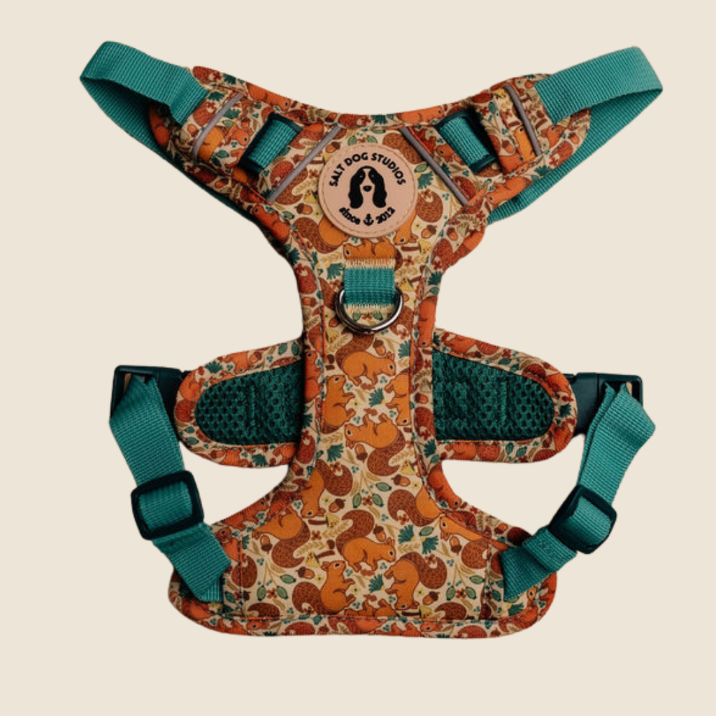 Splendid Squirrels dog harness with orange squirrels and leaves and adjustable straps