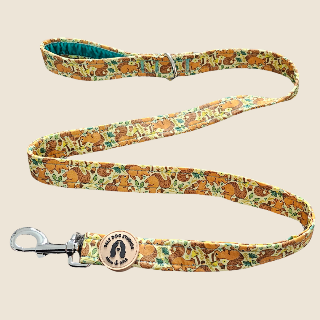 Splendid Squirrels Everyday Pair – Collar & Lead