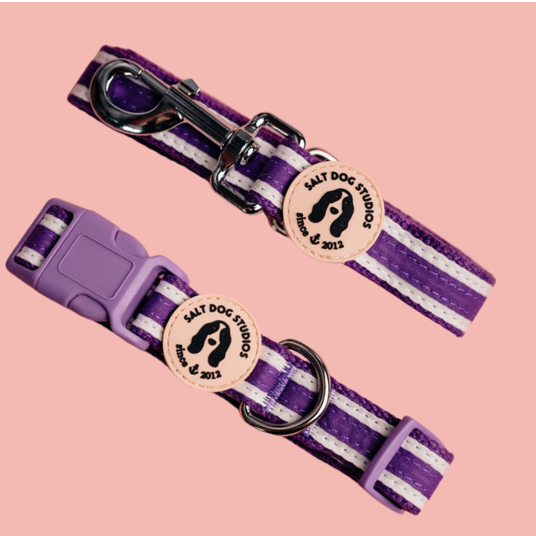 The Coastal Walk Set – Matching Striped Hemp Dog Collar & Lead