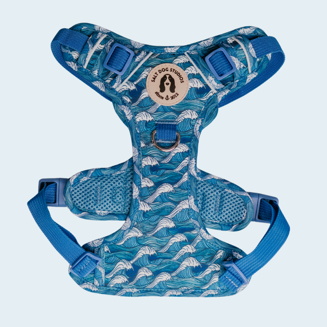 Catching Waves dog harness with white waves on blue and adjustable straps
