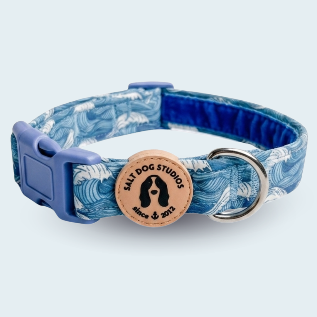 Catching Waves dog collar with white waves on blue and metal D-ring