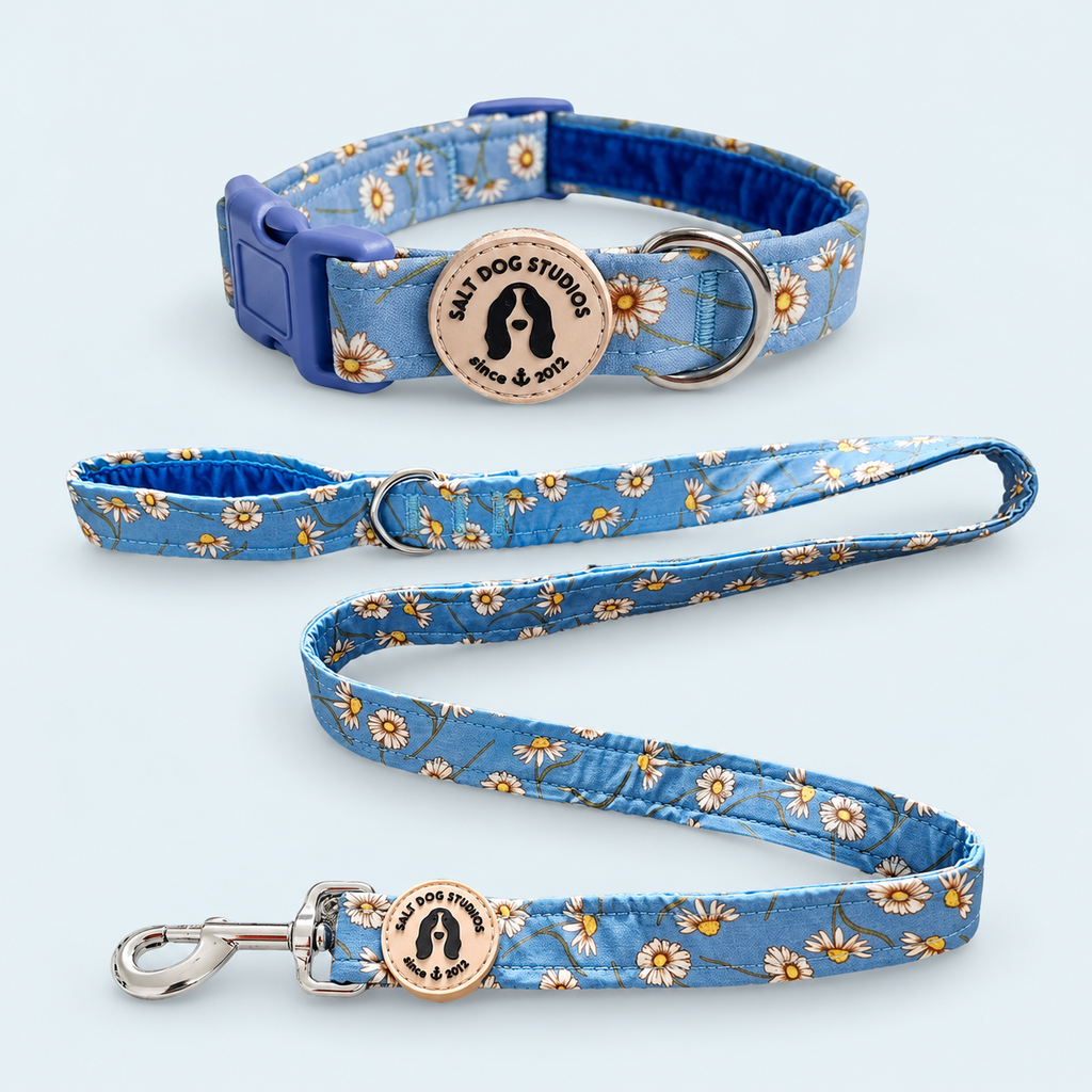 Daisy Daisy matching dog collar and lead set in blue floral fabric with silver fittings