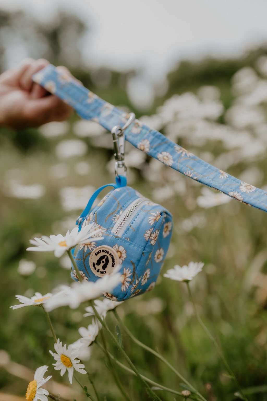 Blue Daisy Daisy poo bag holder clipped to its matching lead, photographed among white daisies.