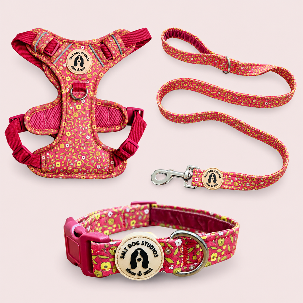 Ditsy Floral Pink Walking Set – Collar, Lead & Harness