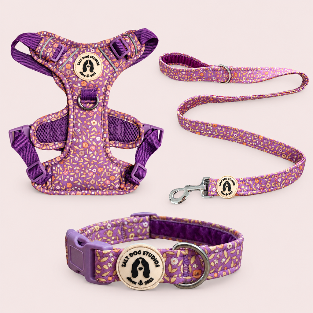 Ditsy Floral Purple Walking Set – Collar, Lead & Harness