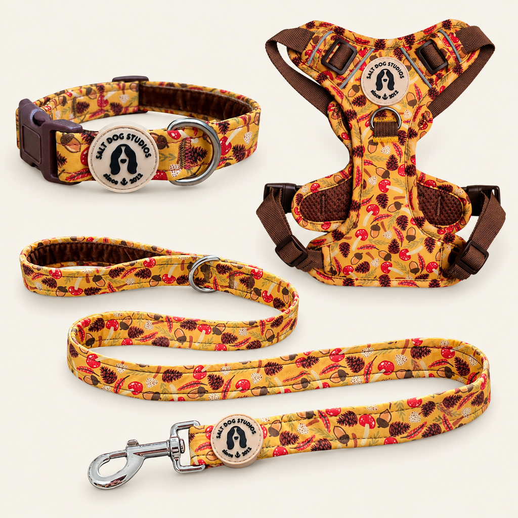 Woodland Treasure Walking Set – Collar, Lead & Harness
