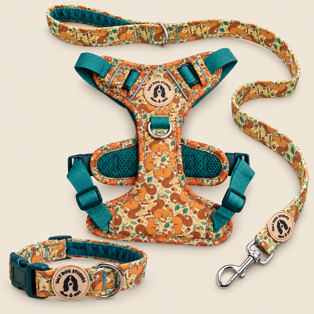 Splendid Squirrels Walking Set – Collar, Lead & Harness