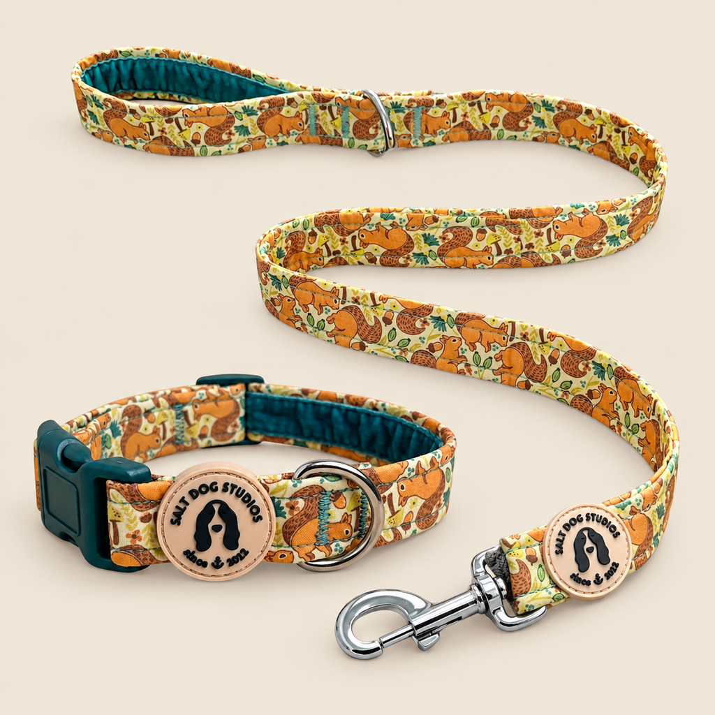 Splendid Squirrels Everyday Pair – Collar & Lead