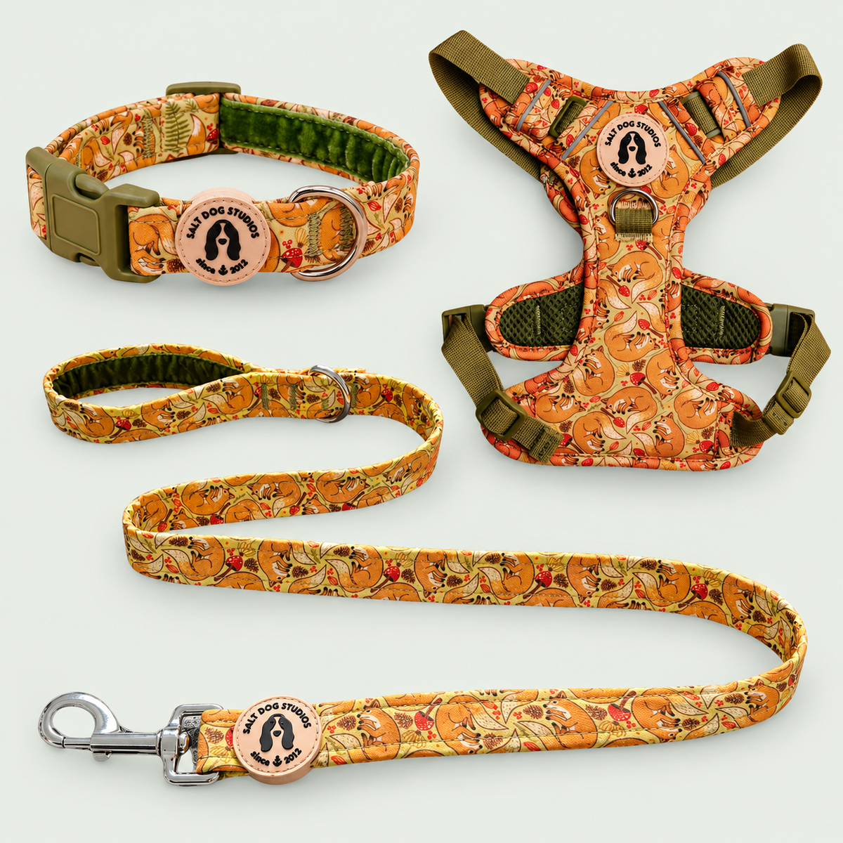 Fantastic Fox Walking Set – Collar, Lead & Harness