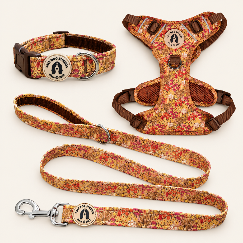 Wildflower Meadow Walking Set – Collar, Lead & Harness