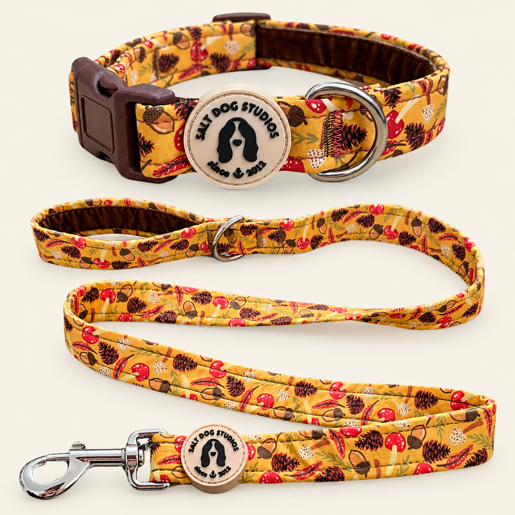 Woodland Treasure Everyday Pair – Collar & Lead