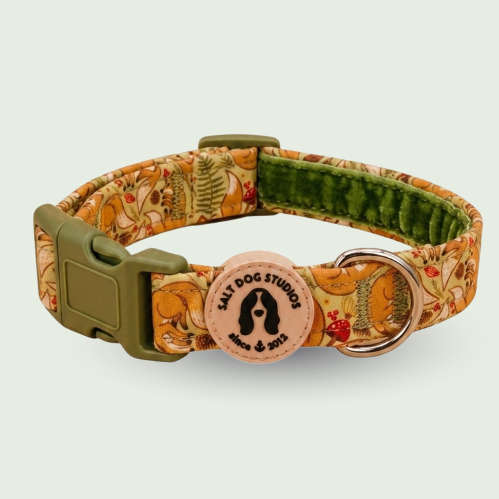 Fantastic Fox Dog Collar