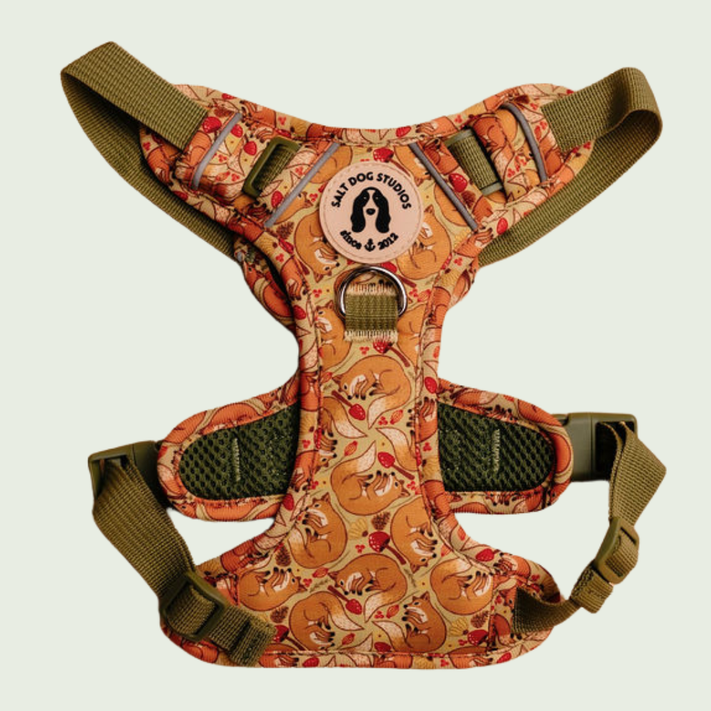 Fantastic Fox dog harness with orange fox and fern print and adjustable straps