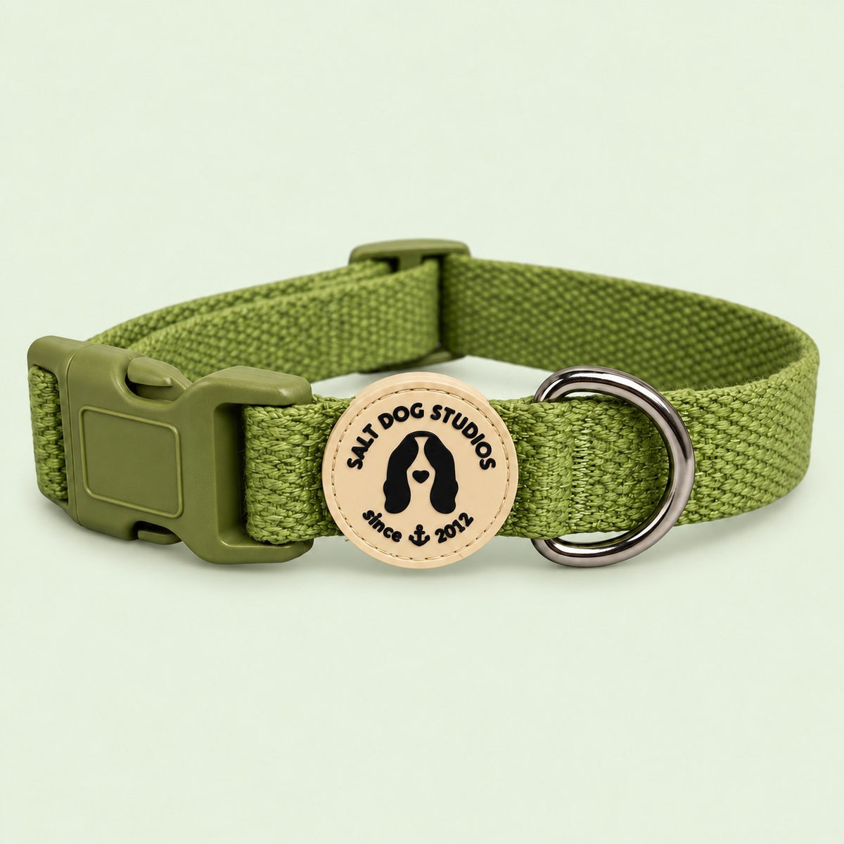 Salt Dog Studios plain grass green hemp dog collar, matching buckle and metal D-ring on a pale sage green background.