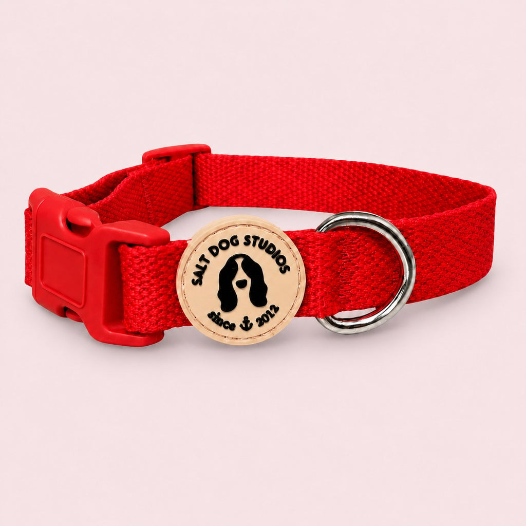 Salt Dog Studios plain scarlet red hemp dog collar, matching buckle and metal D-ring on a rose blush background.