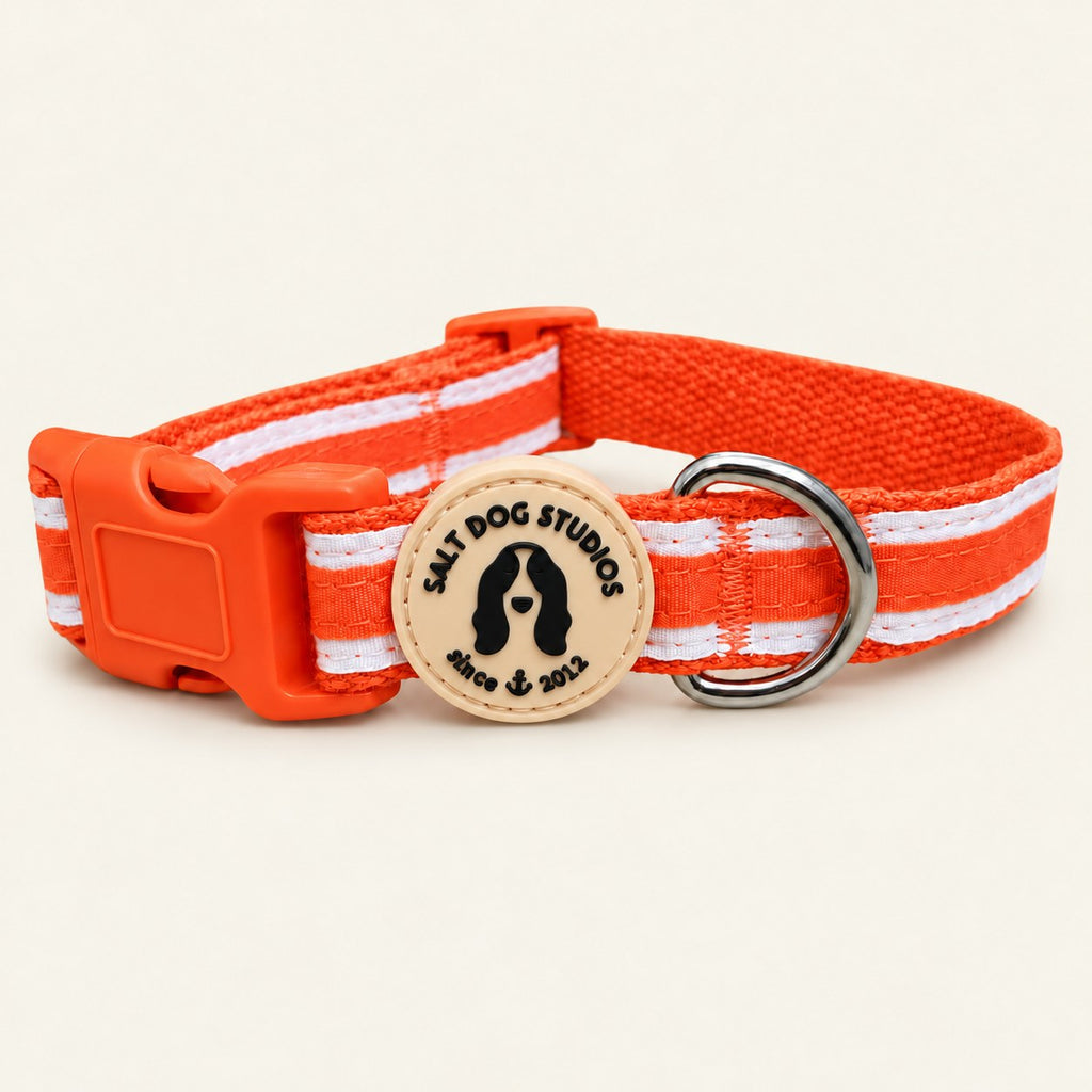 Salt Dog Studios striped clementine orange hemp dog collar with white ribbon stripes, matching buckle and metal D-ring on a pale beige background.